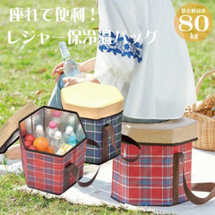 レジャー保冷温バッグの画像