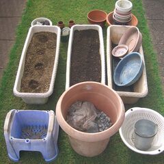 【手渡し】いろいろな植木鉢の画像