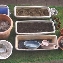 【手渡し】いろいろな植木鉢の画像
