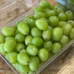 1パックあります！✨【1.5kgパック🍇✨】つぶつぶシャインお徳用！！の画像