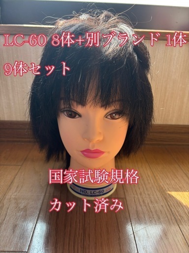 カットウィッグ 国家試験練習用 レジーナ LC-60 8体+1体 9体
