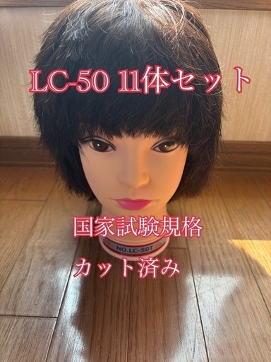 レジーナ LC-50 11体セット 国家試験規格カット済み レジーナ 国家試験練習用 LC-50 11体セット 国家試験規格カット済み