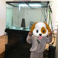 90センチ水槽　水槽台セットの画像