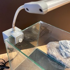 0円★水槽、LEDライト、砂、石の画像