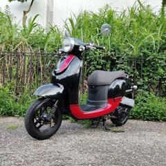 アウトレットセール《HONDA》ジョルノ スポルト 希少 人気 特価の画像