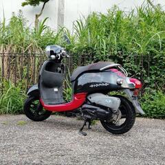 アウトレットセール《HONDA》ジョルノ スポルト 希少 人気 特価の画像