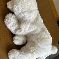 くったりサモエドの画像