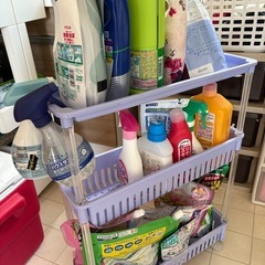 洗剤ラック 可動式
の画像