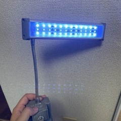 0円★水槽、LEDライト、砂、石の画像
