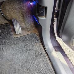 スティングレーの画像