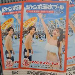 ナガシマジャンボ海水プール　遊園地入場券　大人2枚の画像