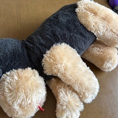 くったりシュナウザーの画像
