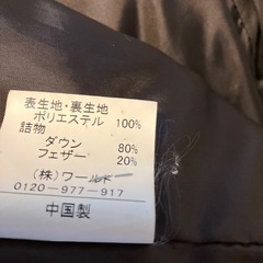 婦人ダウンの画像