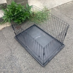 アイリスオーヤマ 犬 ゲージ サークル
の画像
