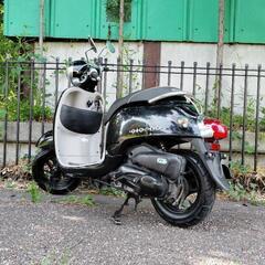 アウトレットセール《HONDA》ジョルノ インジェクション 美品 タイヤほぼ新品 スペアキー付き 特価の画像