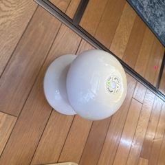 電動ネコおもちゃの画像