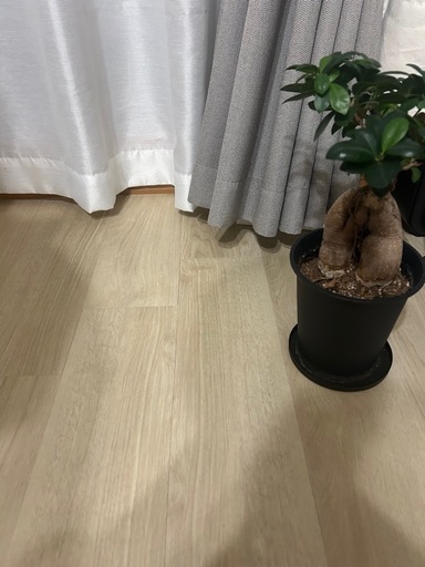 【値下げしました】東リ　フロアタイル　PITAFI