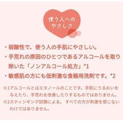 【南風原/北谷】フロッシュ 食器用洗剤の画像