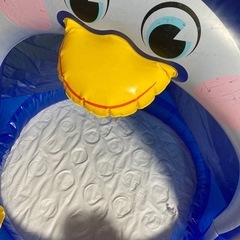 ペンギンプールの画像