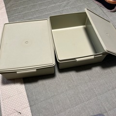 大きめ　タッパウェイの画像