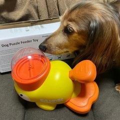 犬用　おもちゃ　美味しく学べる知育トイ　小型犬〜大型犬　　の画像