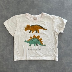 Tシャツ10枚セットの画像