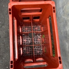 一升瓶　ケース2個セットの画像