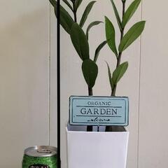 🌱縁起良いザミオクルカス45,/cm金銭樹/観葉植物🌱の画像