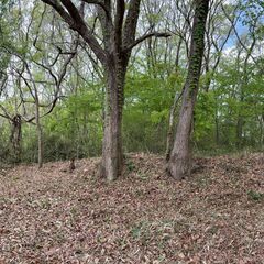 No.B732【福島県西郷村】山林（別荘地？）　1筆あげます！
