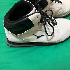 MIZUNOトレーニングシューズの画像