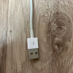 ライトニングケーブルの画像