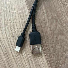 黒のライトニングケーブルの画像