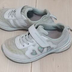 瞬足 18.0センチの画像