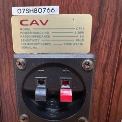 CAV DP10（アンプなし） / LEPY LP-V3S セットの画像