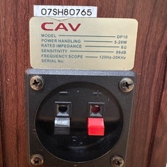 CAV DP10（アンプなし） / LEPY LP-V3S セットの画像