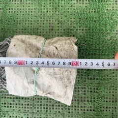 フェンス 縦長さ120cm 網目約6cm メーカー不明の画像