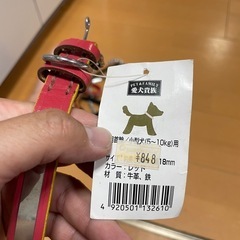 小型犬用首輪の画像
