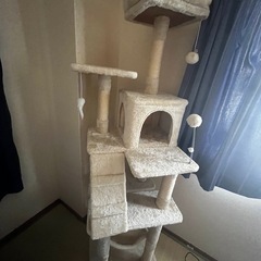 キャットタワーの画像