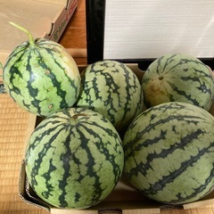 ①🍉訳ありスイカ🍉　約7キロの画像