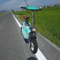 ZOOK ズーク　実働　書付の画像