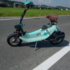 ZOOK ズーク　実働　書付の画像