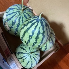 ②スイカ　規格外 ジャムなど　約7キロの画像