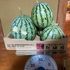 ②スイカ　規格外 ジャムなど　約7キロの画像