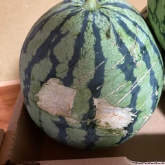 ②スイカ　規格外 ジャムなど　約7キロの画像