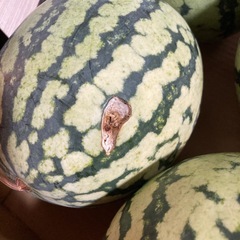 ①🍉訳ありスイカ🍉　約7キロの画像