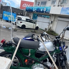 カブ？可愛い😍の画像