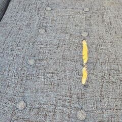ソファの画像