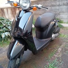 トゥデイaf61の画像