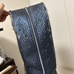 キャディバック　ゼクシオの画像
