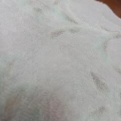 モリハナエ他シーツ等の画像